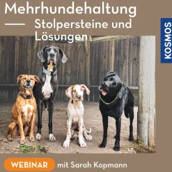 Mehrhundehaltung – Stolpersteine und Lösungen