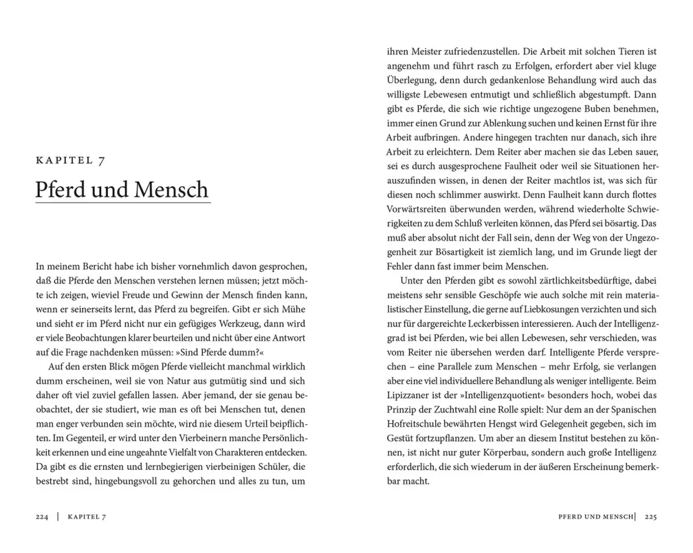 Meine Lehrmeister die Pferde