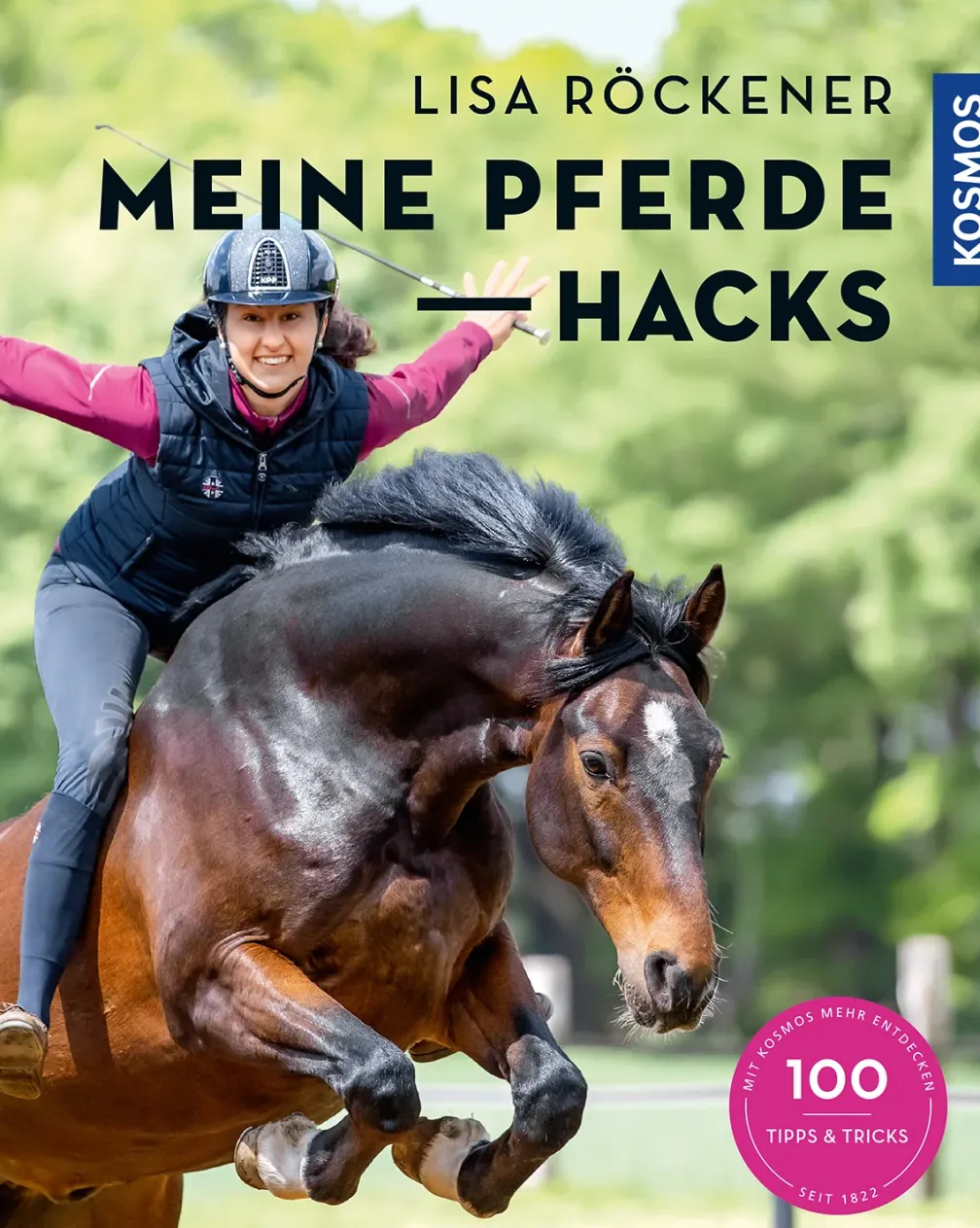 Meine Pferde Hacks