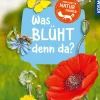 Mein erster Naturführer, Was blüht denn da?
