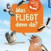 Mein erster Naturführer, Was fliegt denn da?