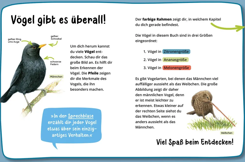 Mein erster Naturführer, Was fliegt denn da?