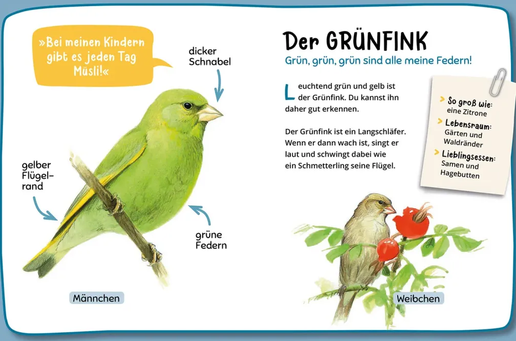Mein erster Naturführer, Was fliegt denn da?