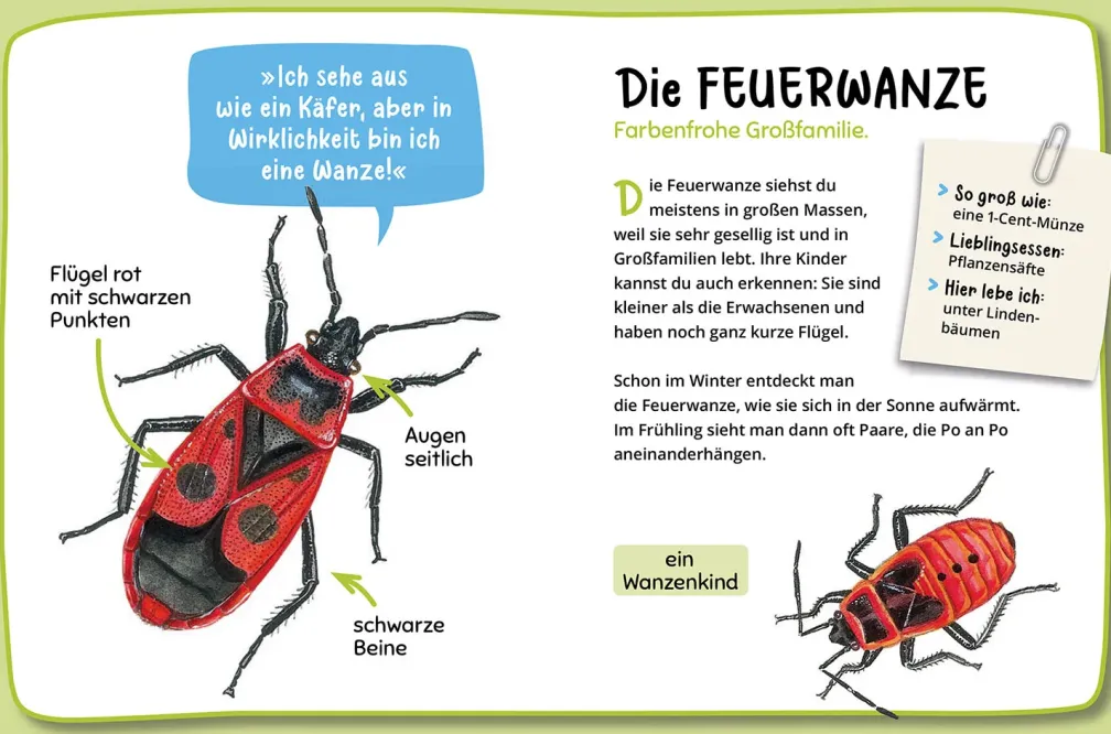 Mein erster Naturführer, Was krabbelt denn da?