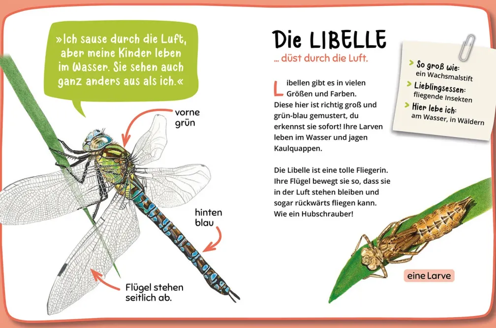 Mein erster Naturführer, Was krabbelt denn da?