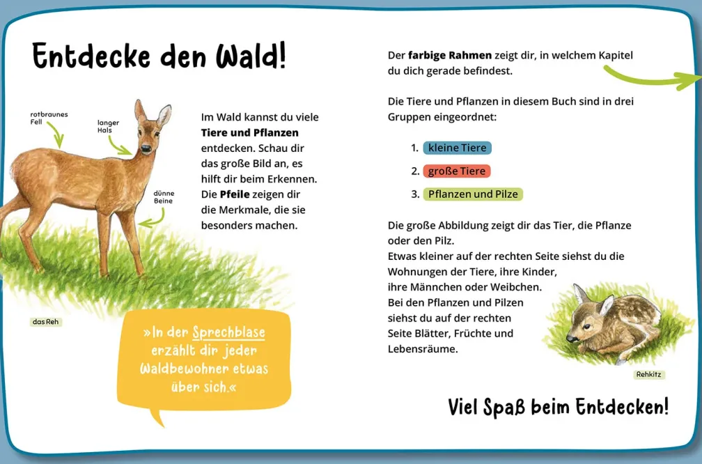Mein erster Naturführer, Was lebt im Wald?