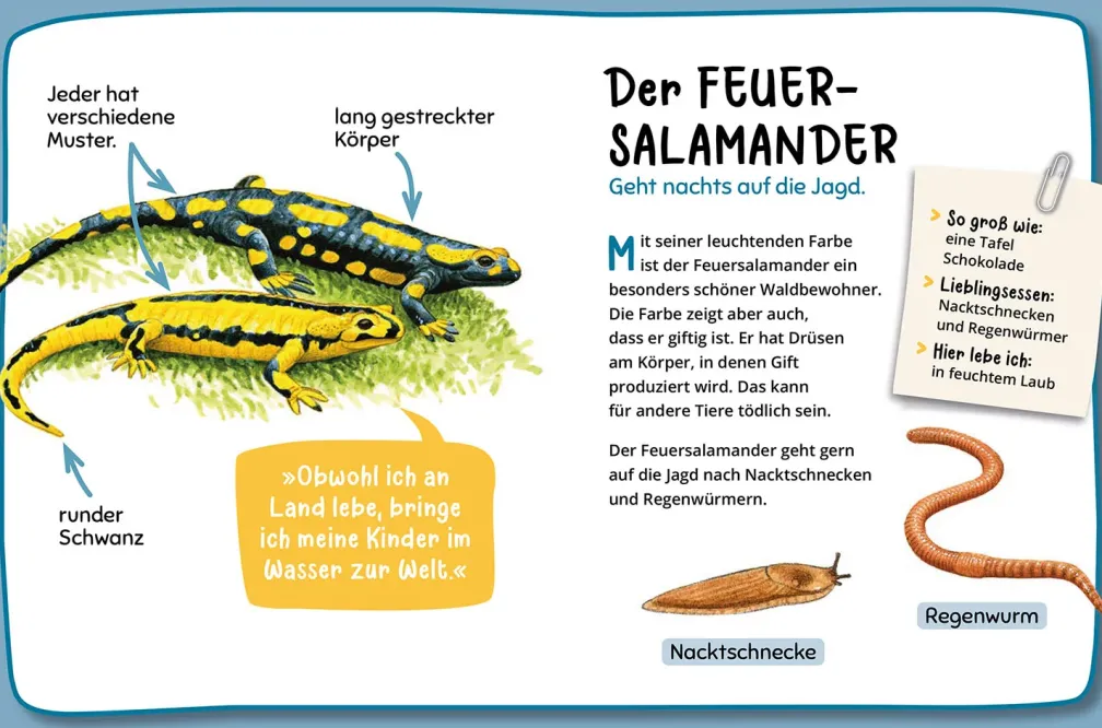 Mein erster Naturführer, Was lebt im Wald?