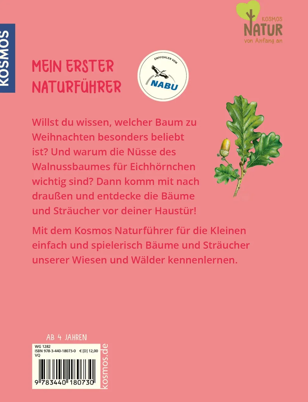 Mein erster Naturführer, Welcher Baum ist das?