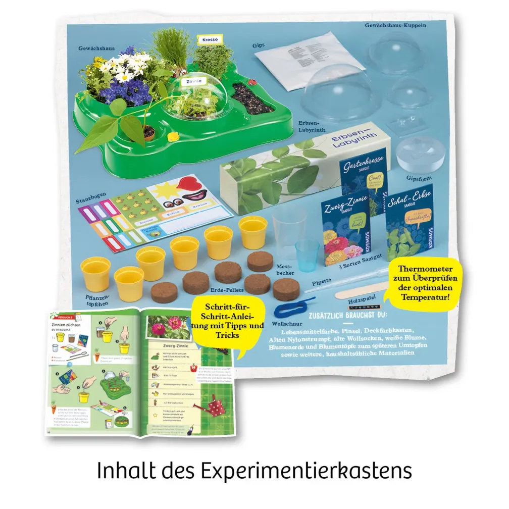 Mein erstes Gewächshaus
