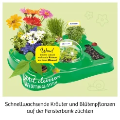 Mein erstes Gewächshaus