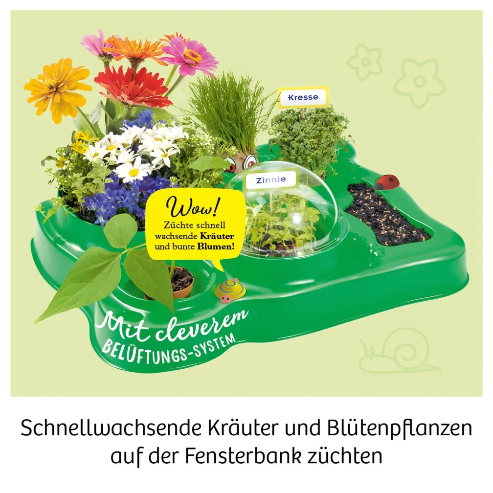 Mein erstes Gewächshaus