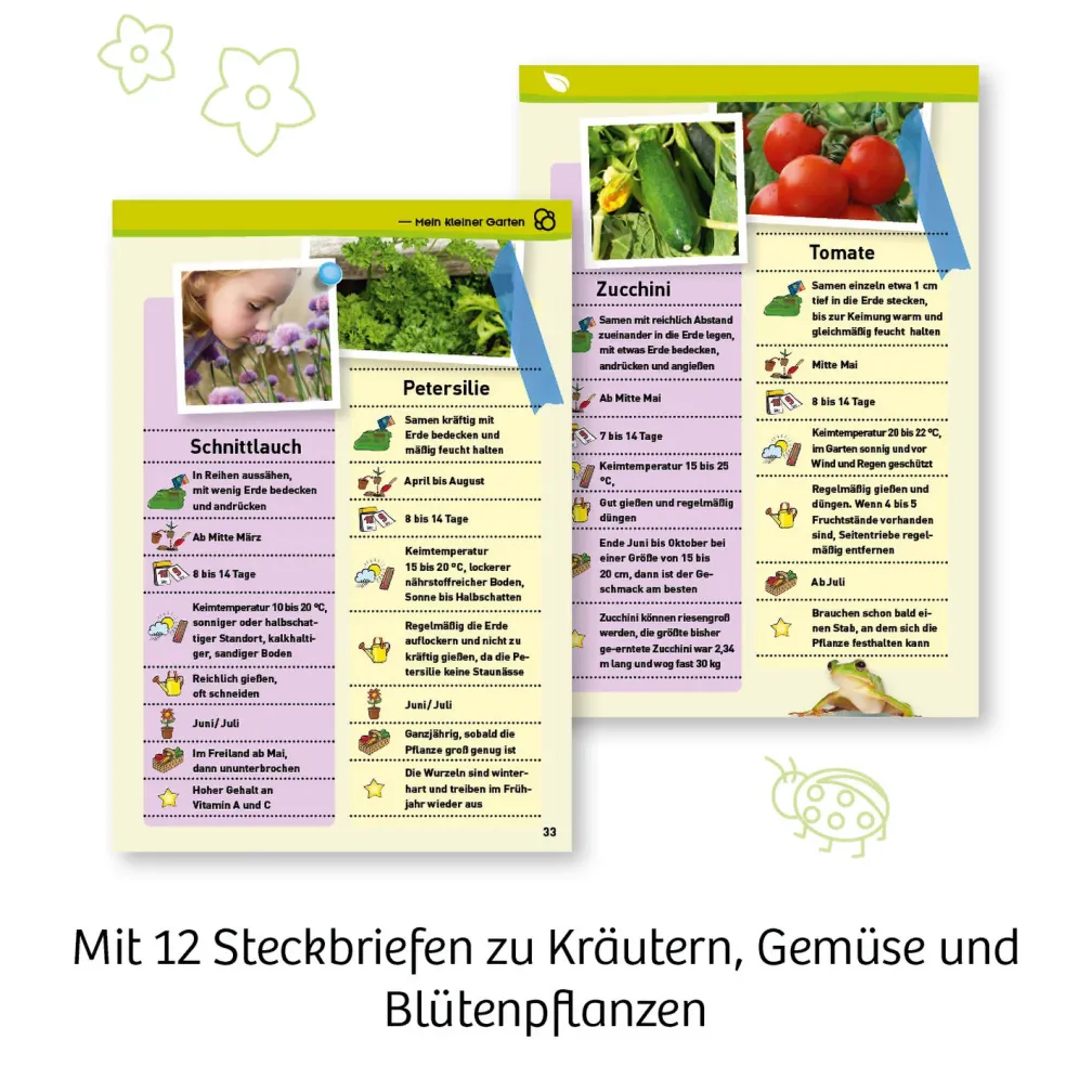 Mein erstes Gewächshaus