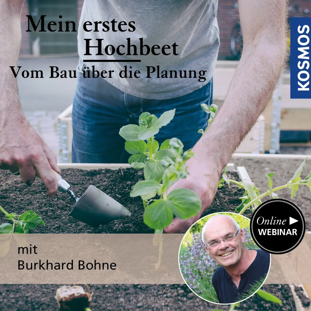 Mein erstes Hochbeet: Vom Bau über die Planung bis zur Pflanzung und ersten Pflegearbeiten