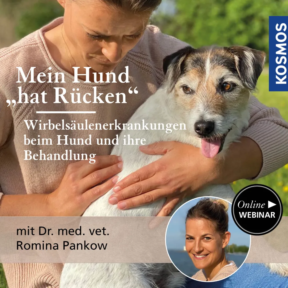 Mein Hund „hat Rücken“ – Wirbelsäulenerkrankungen beim Hund und ihre Behandlung