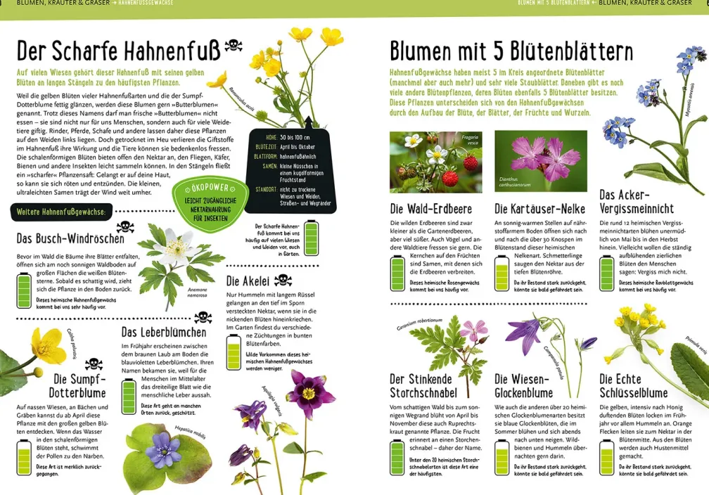 Mein Kosmos-Buch Natur