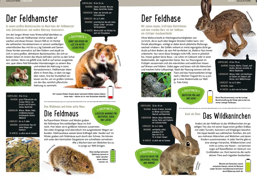 Mein Kosmos-Buch Natur