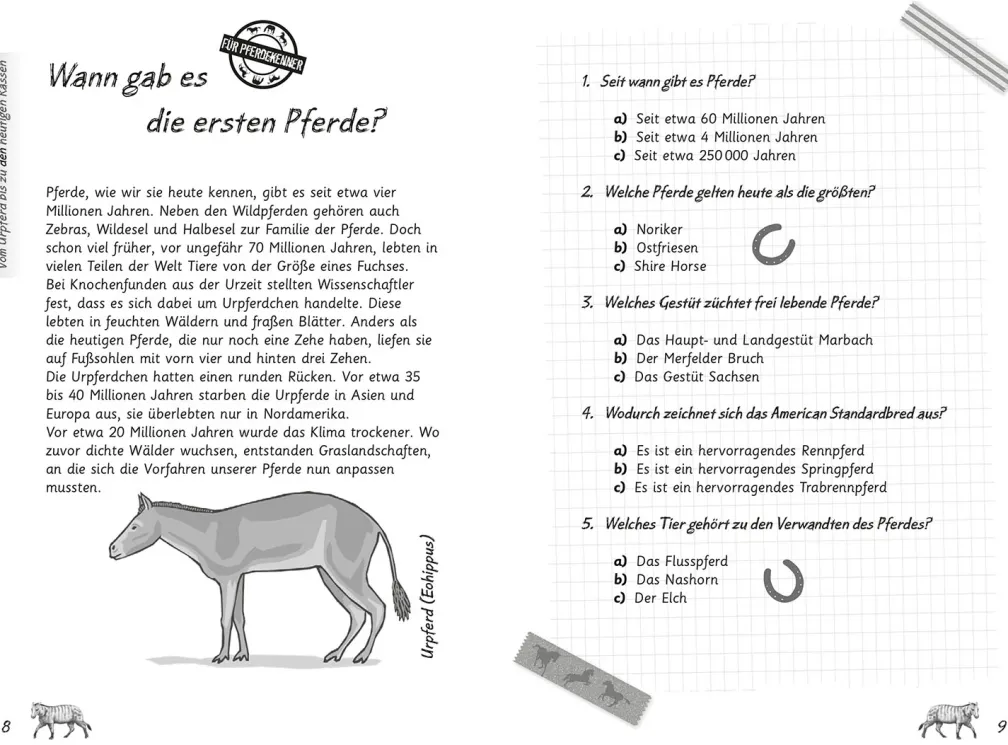 Mein Pferdequiz