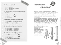 Mein Pferdequiz