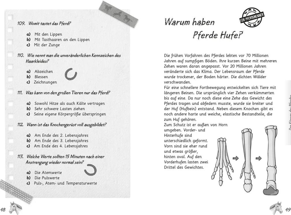 Mein Pferdequiz