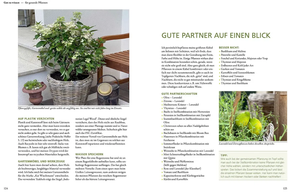 Mein wunderbarer Topfgarten