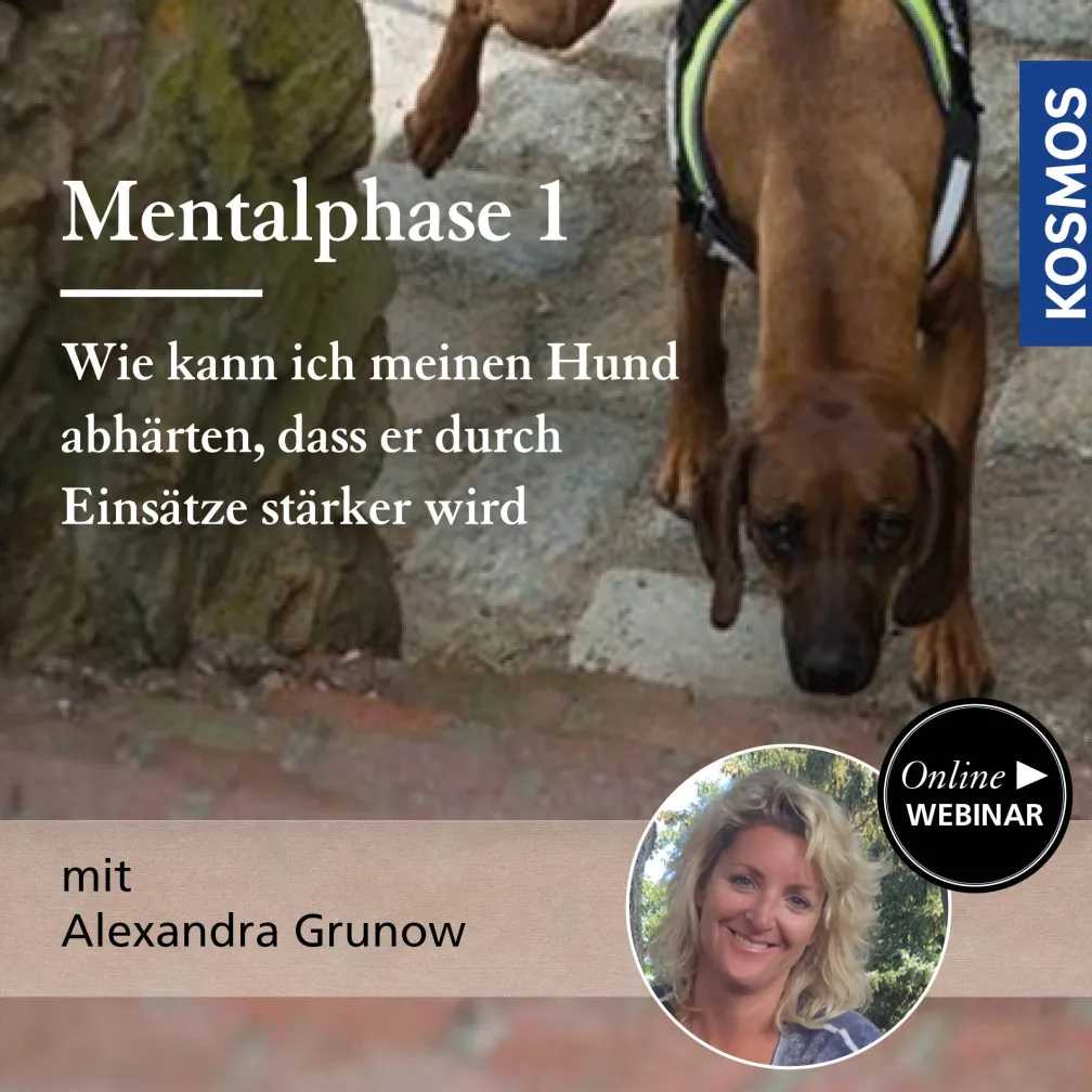 Mentalphase Teil 1: Wie kann ich meinen Hund abhärten, dass er durch Einsätze stärker wird