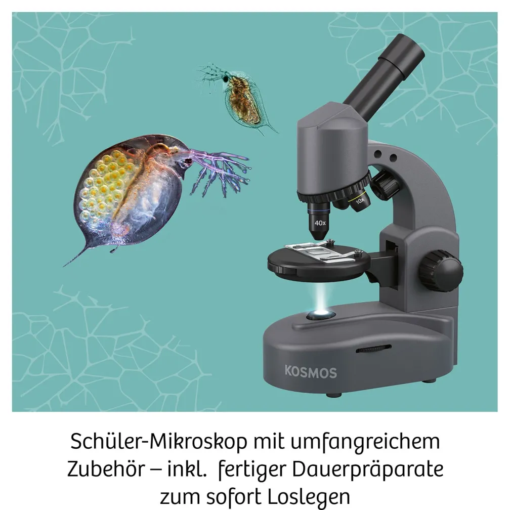Mikroskop