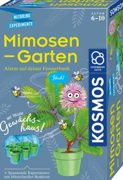Mimosen-Garten
