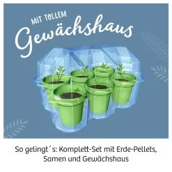Mimosen-Garten