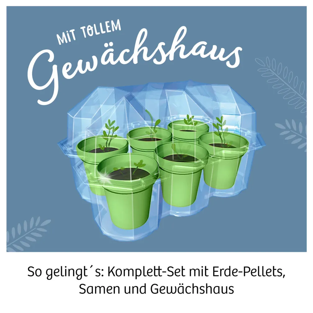 Mimosen-Garten