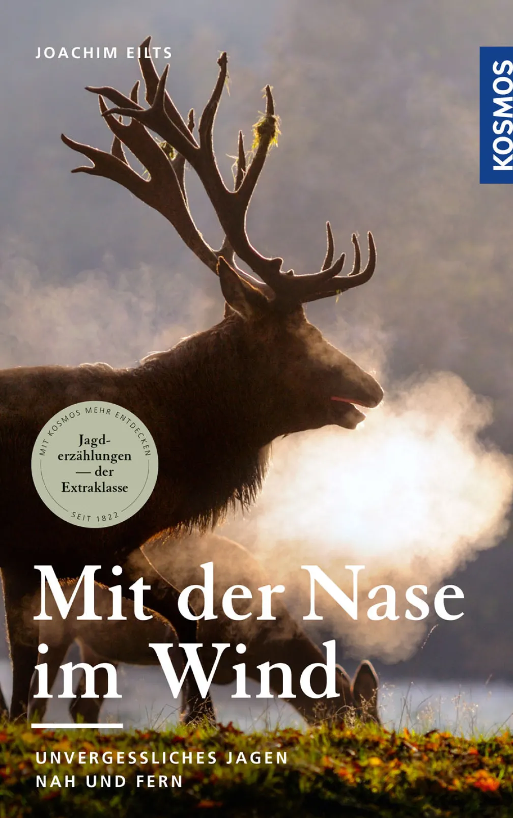 Mit der Nase im Wind
