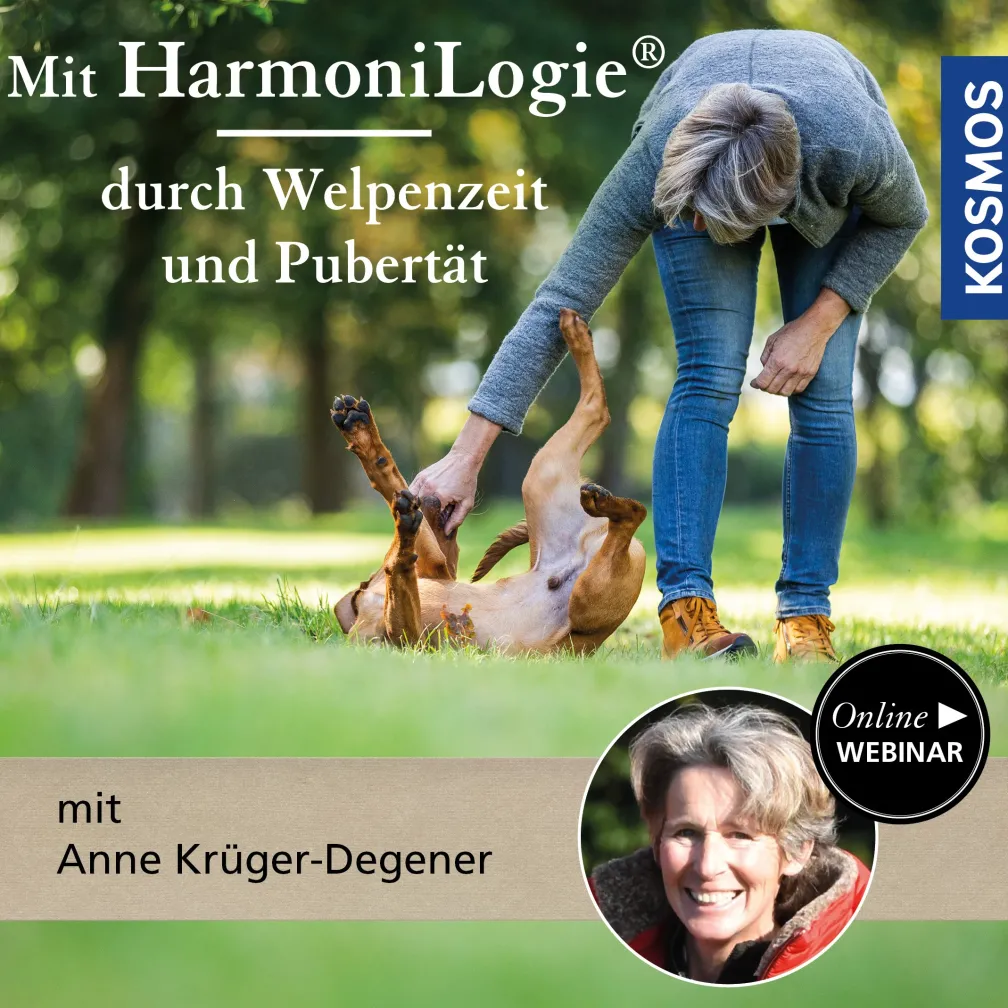 Mit HarmoniLogie durch Welpenzeit und Pubertät
