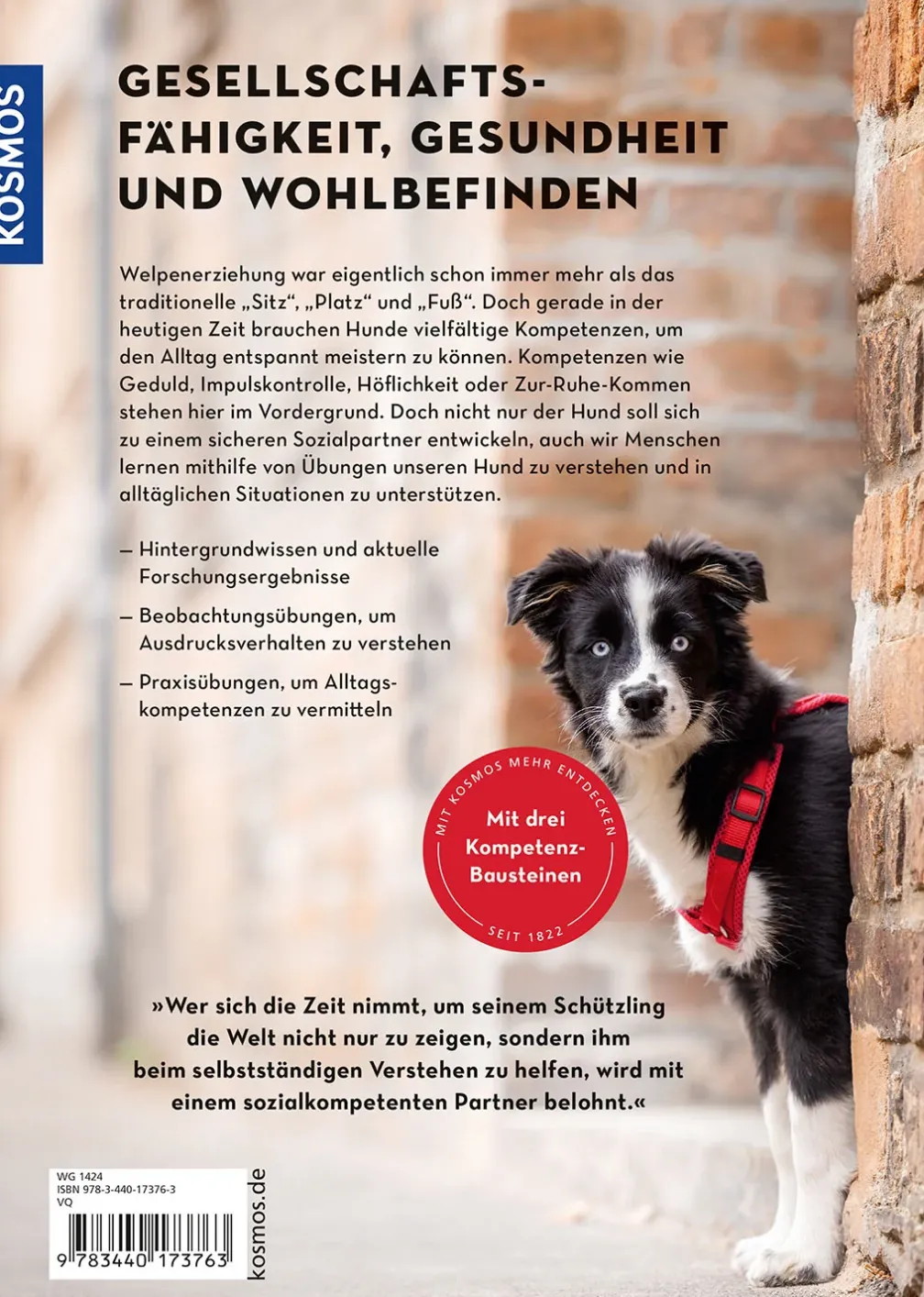 Moderne Welpenerziehung