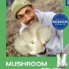 Mushroom Fever