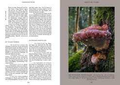 Mushroom Fever
