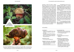 Mushroom Fever