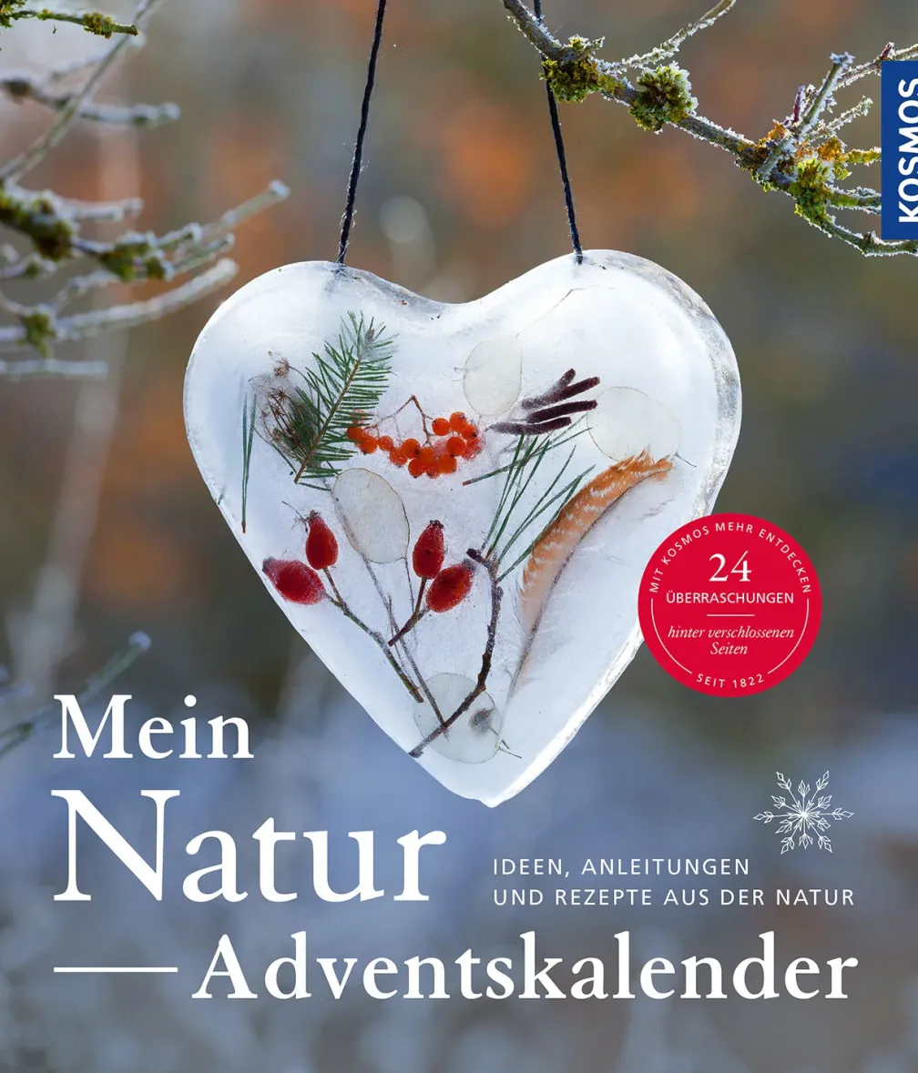 Natur-Adventskalender