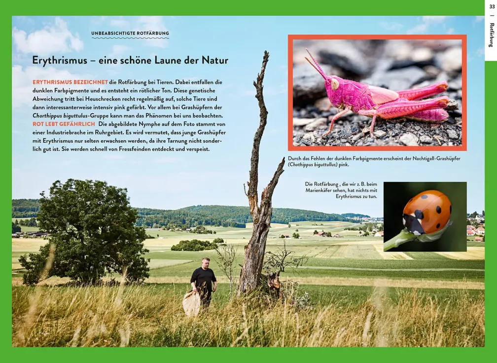 Nature Guide Insekten