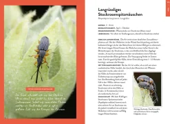 Nature Guide Insekten