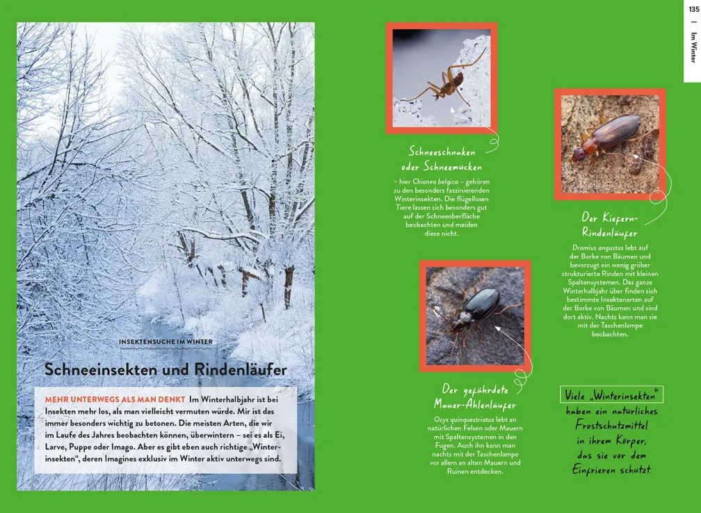 Nature Guide Insekten