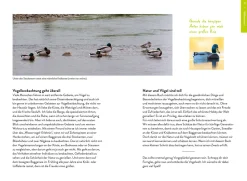 Nature Guide Vögel