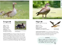 Nature Guide Vögel