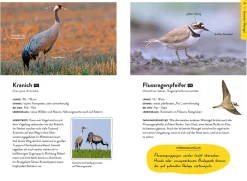 Nature Guide Vögel