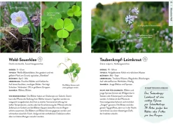 Nature Guide Wildpflanzen