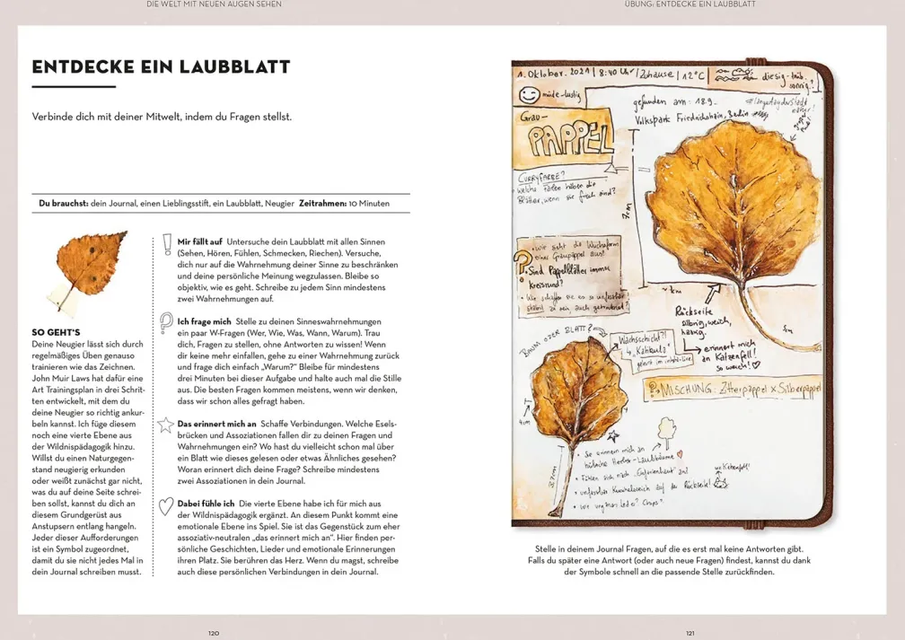 Nature Journaling