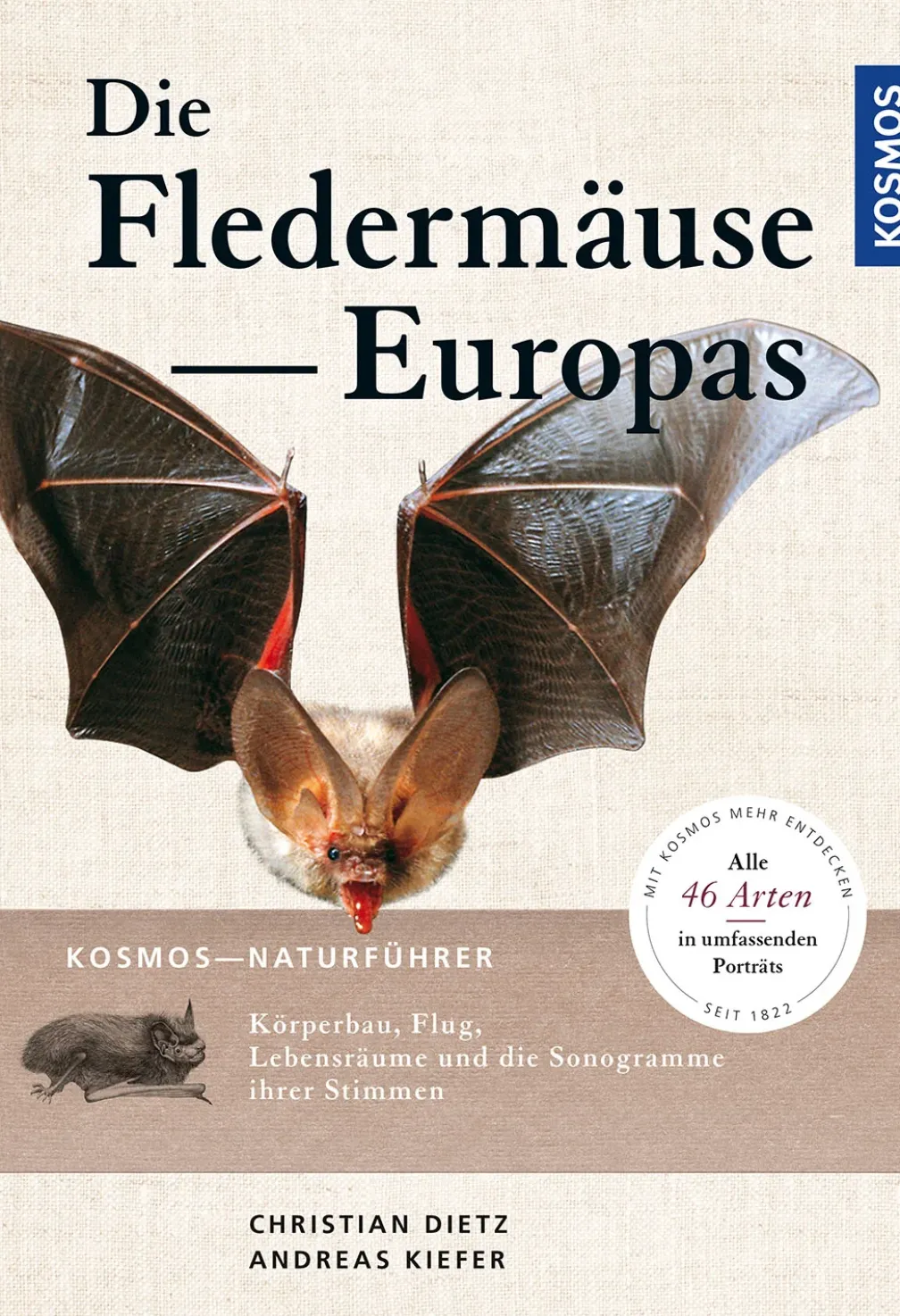 Naturführer Fledermäuse Europas