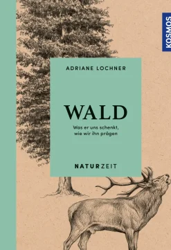 Naturzeit Wald