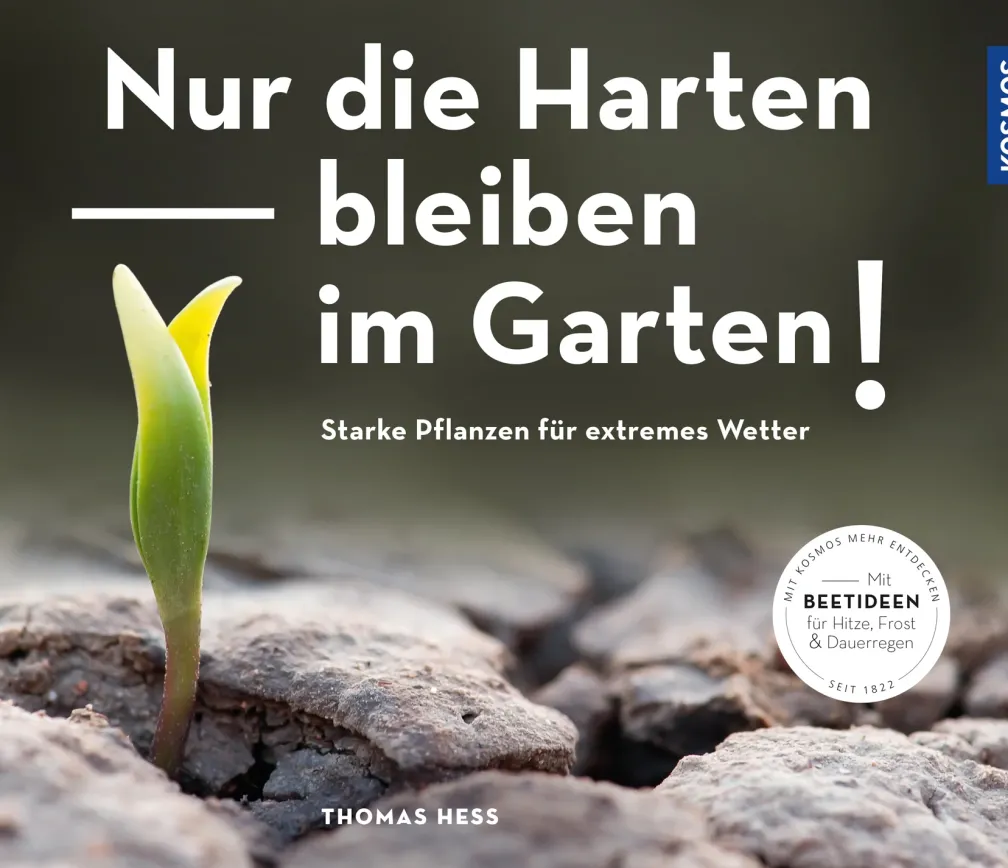 Nur die Harten bleiben im Garten!
