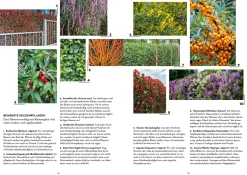 Oase - kühler Garten