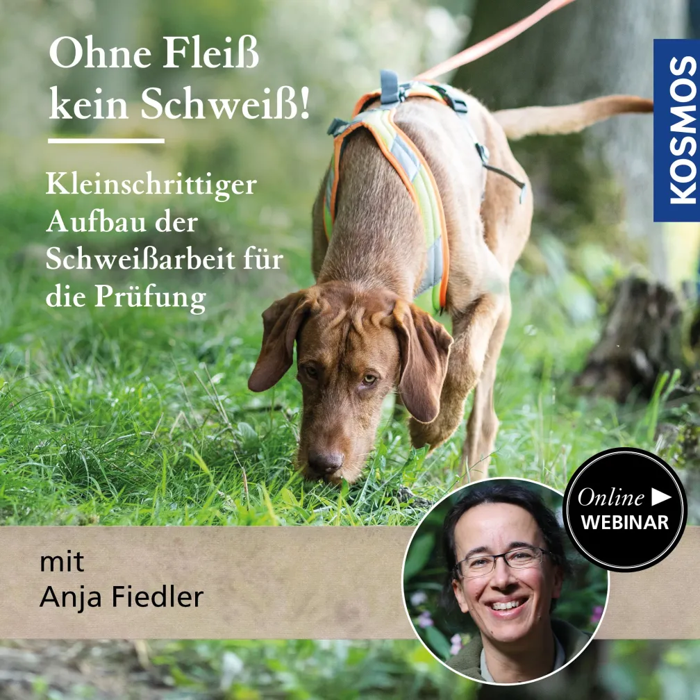 Ohne Fleiß, kein Schweiß! – Kleinschrittiger Aufbau der Schweißarbeit für die Prüfung