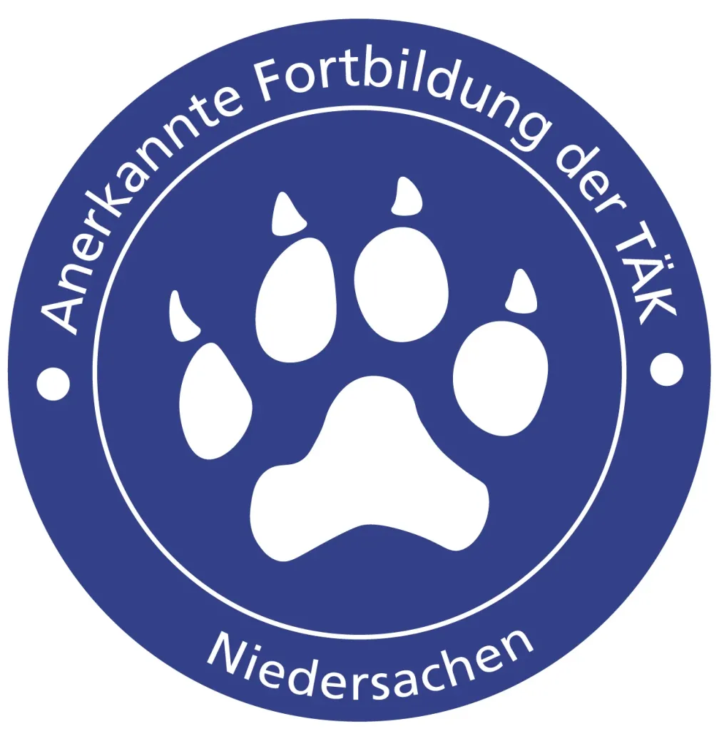 Ohne Fleiß, kein Schweiß! – Kleinschrittiger Aufbau der Schweißarbeit für die Prüfung
